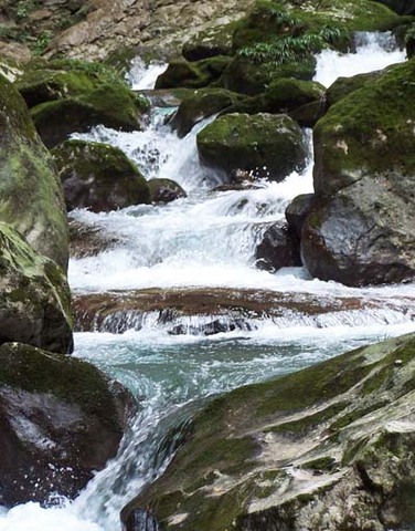 九龙沟风景区最新消息(九龙沟景区资讯速递)