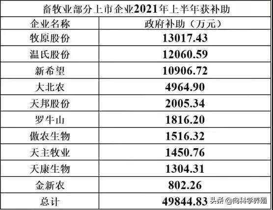 化州今日最新生猪价格，今日化州生猪报价速览