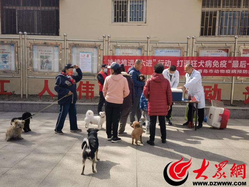 最新揭秘：狂犬病防控新进展，守护健康，共筑安全防线