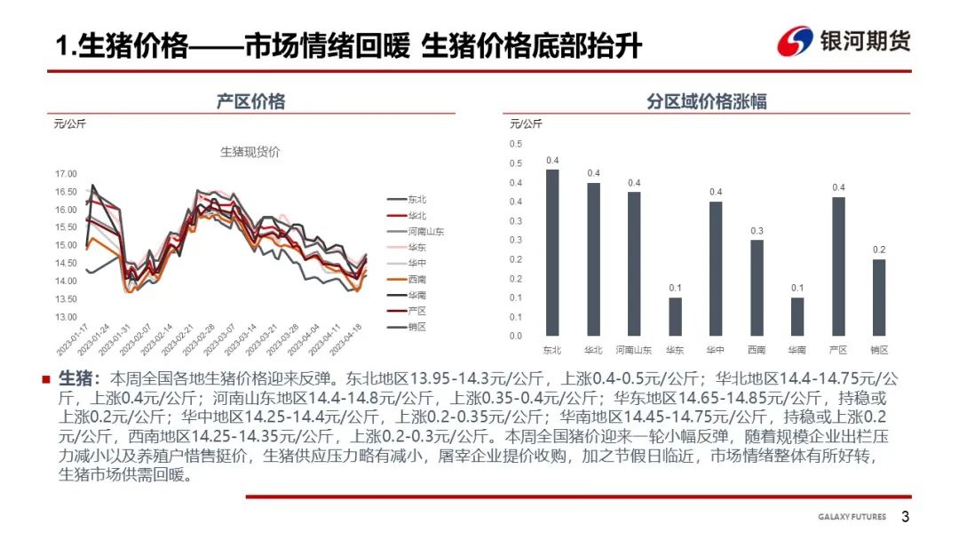 紫宝石洋葱，市场喜讯连连，价格看涨新篇章