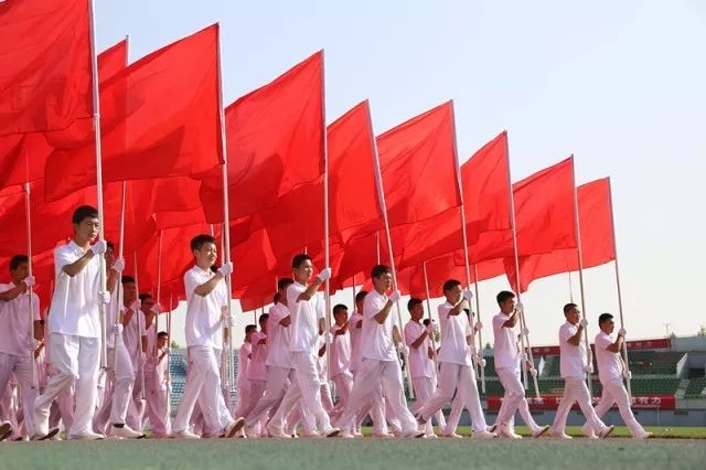 鹤山沙坪，活力岗位齐招募，共创美好未来！